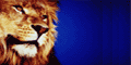 Manual de Auditoria Tribut�ria