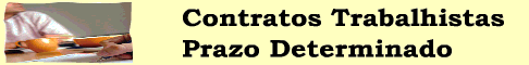 Contratos de Trabalhos - Teoria e Pr�tica